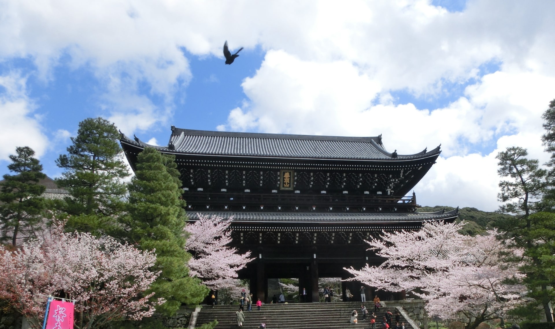 知恩院 2014年