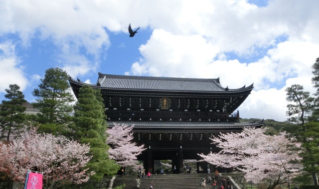 知恩院 2014年
